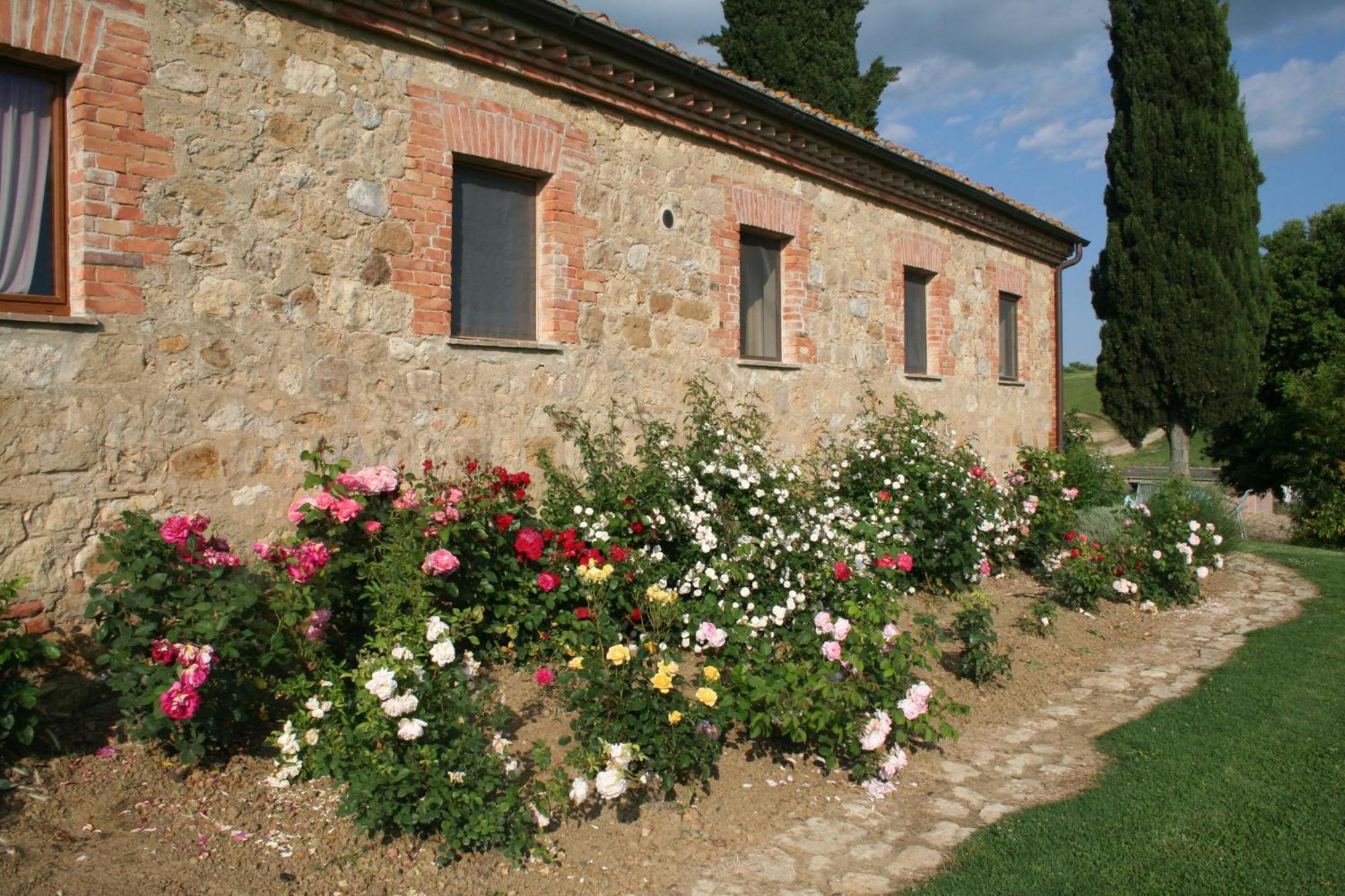 Agriturismo Bagnolo Pienza Bagian luar foto